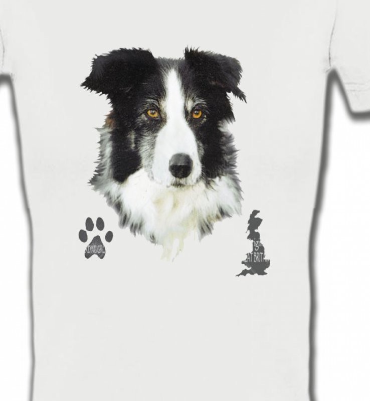 Border Collie noir et blanc (A)