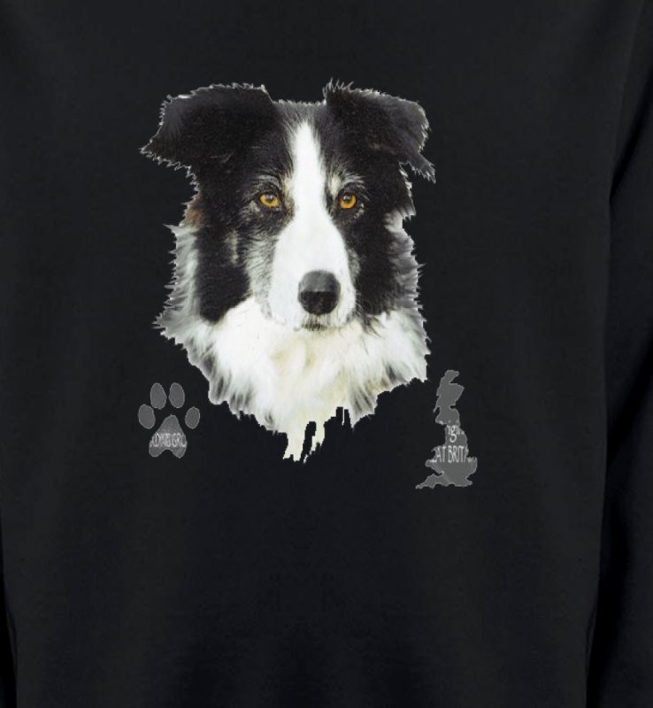 Border Collie noir et blanc (A)