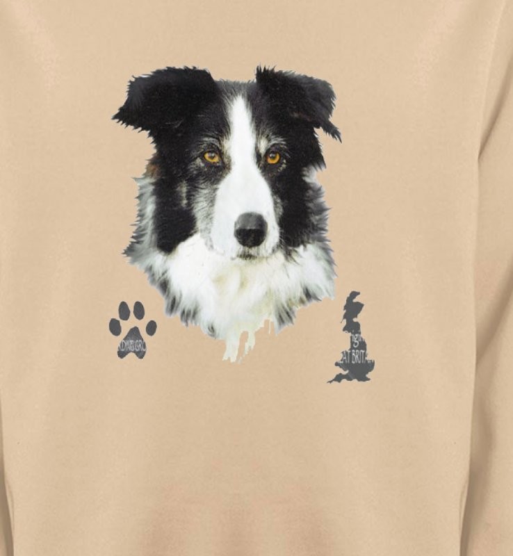 Border Collie noir et blanc (A)