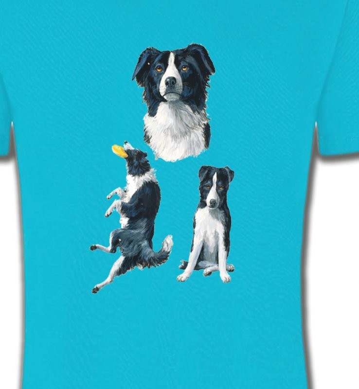 Border Collie noir et blanc (B)