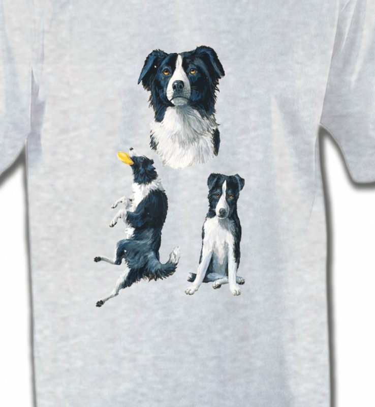 Border Collie noir et blanc (B)