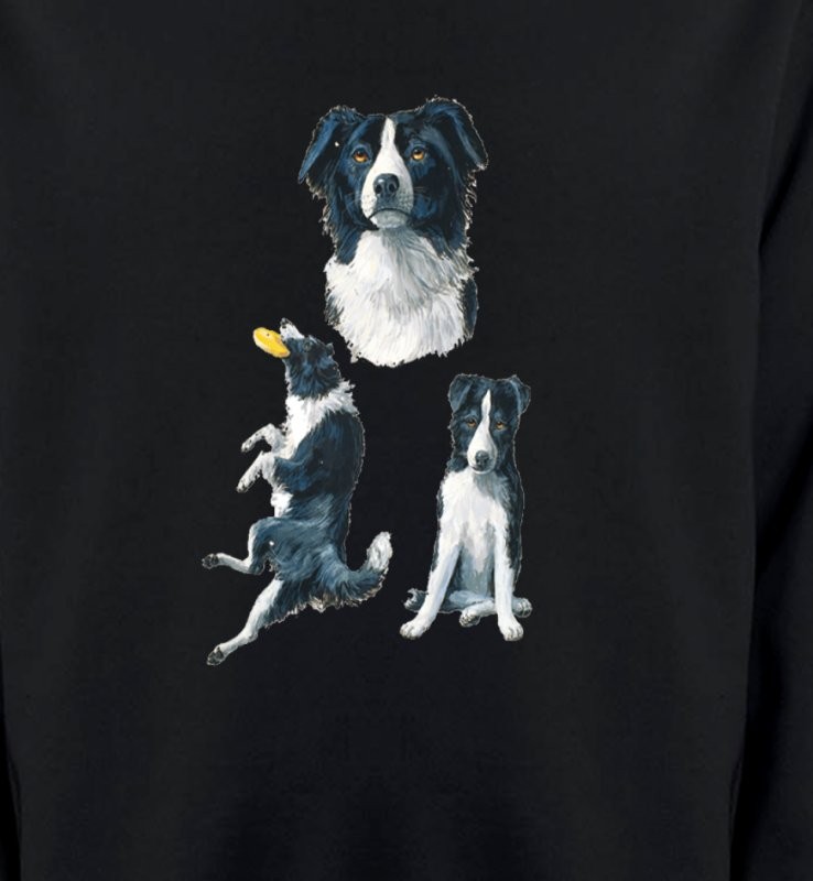 Border Collie noir et blanc (B)