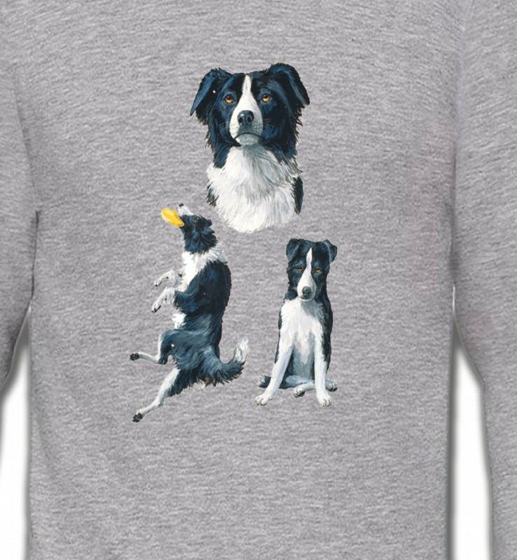 Border Collie noir et blanc (B)
