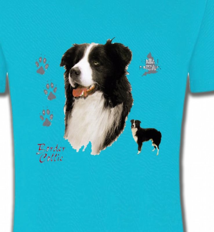 Border Collie noir et blanc (C)