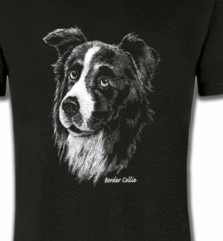 Border Collie (D)