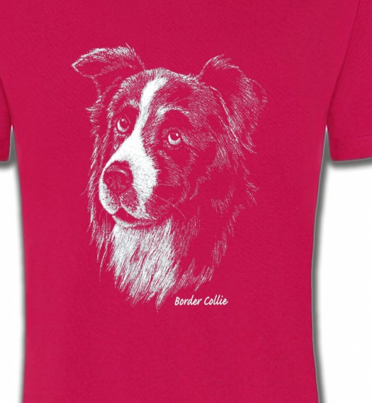 Border Collie (D)