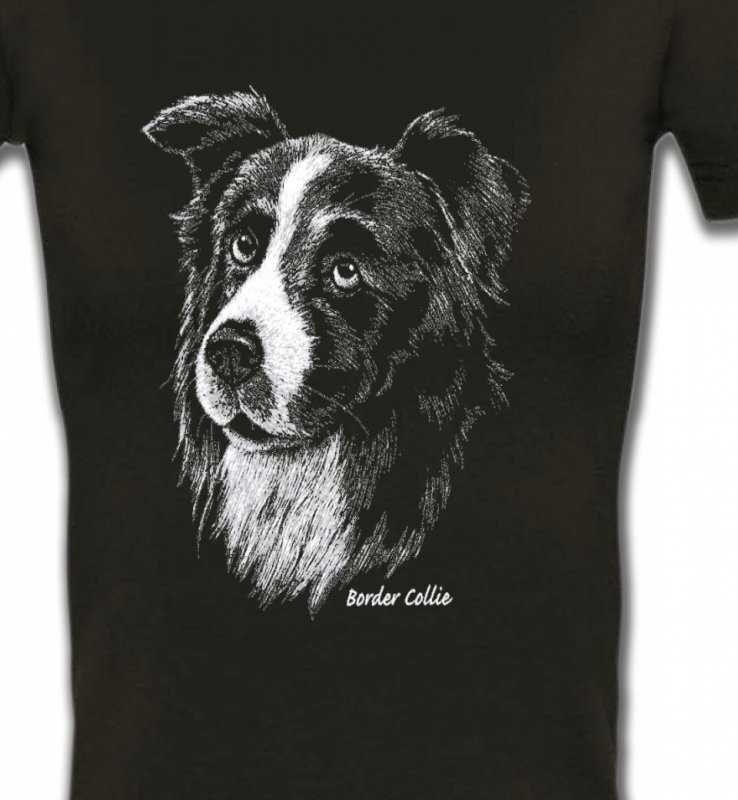 Border Collie (D)