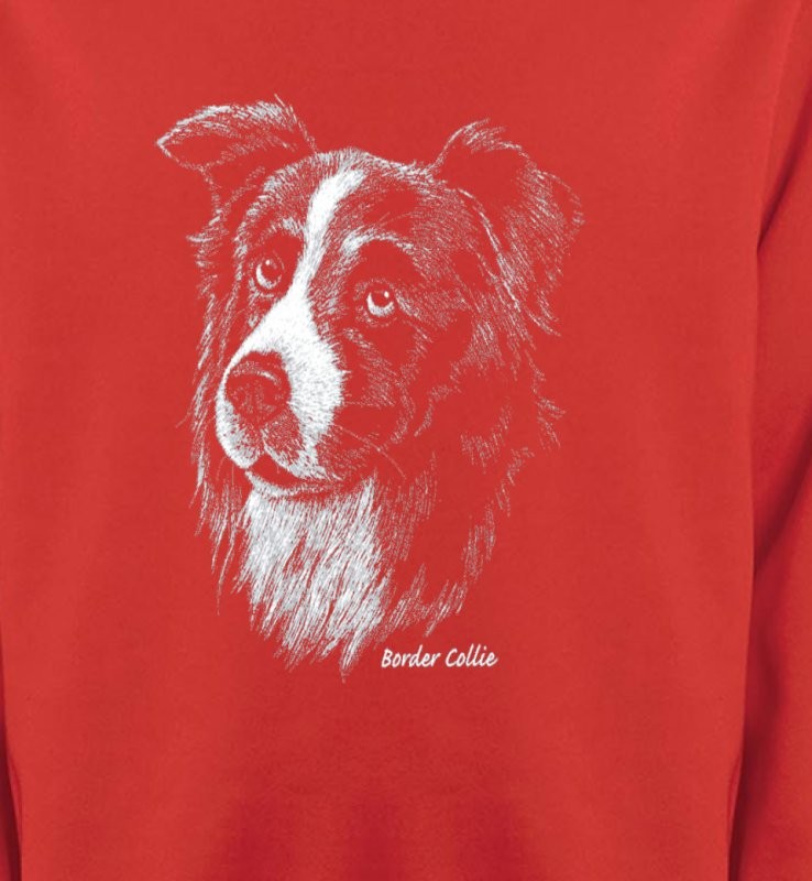 Border Collie (D)