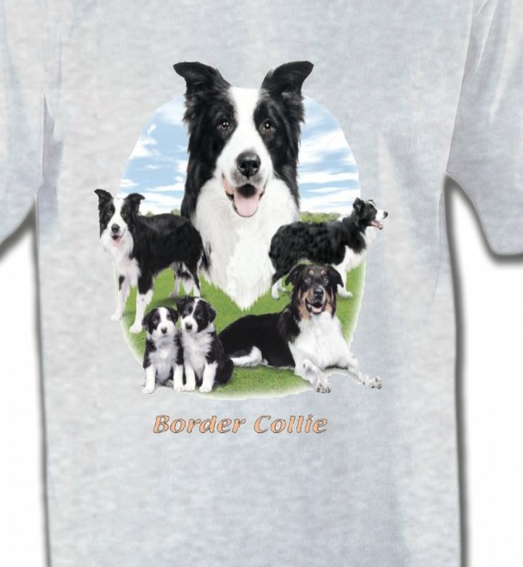 Border Collie (E)
