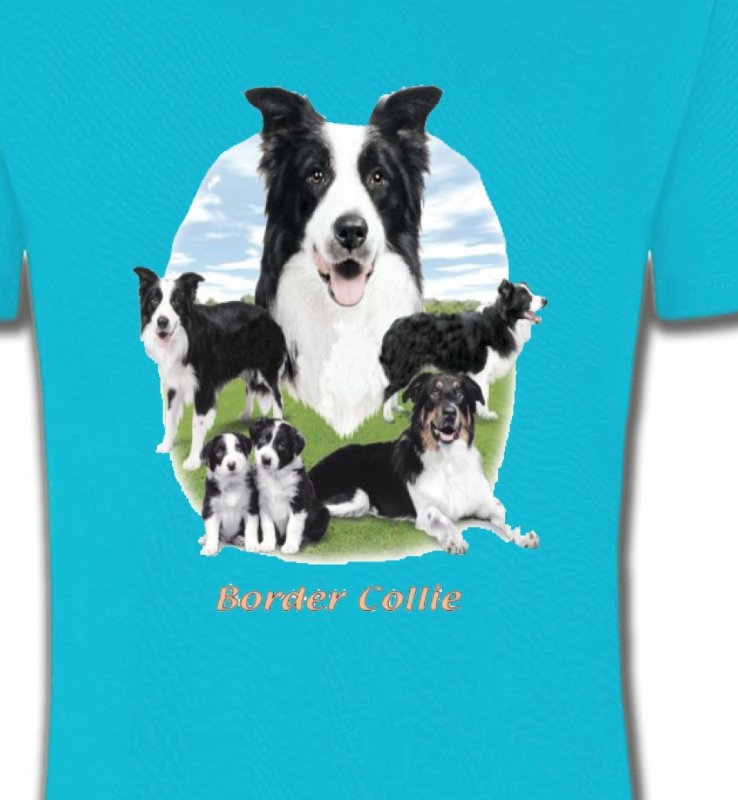 Border Collie (E)