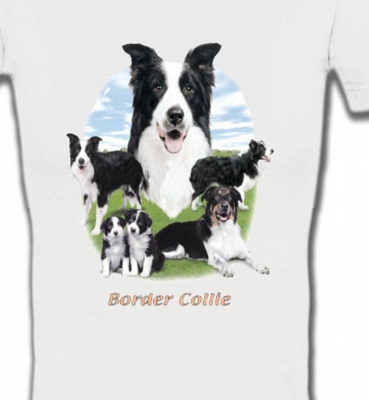 Border Collie (E)