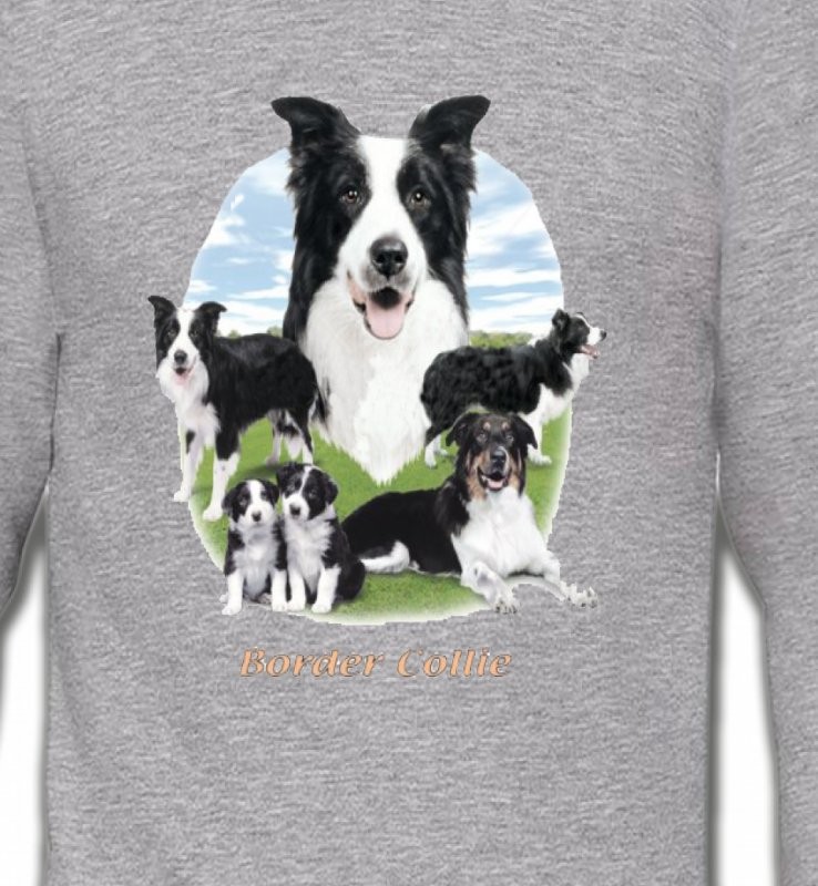 Border Collie (E)