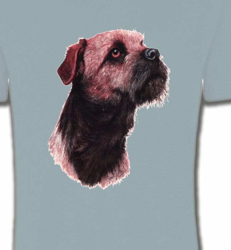 Border Collie Terrier brun (L)