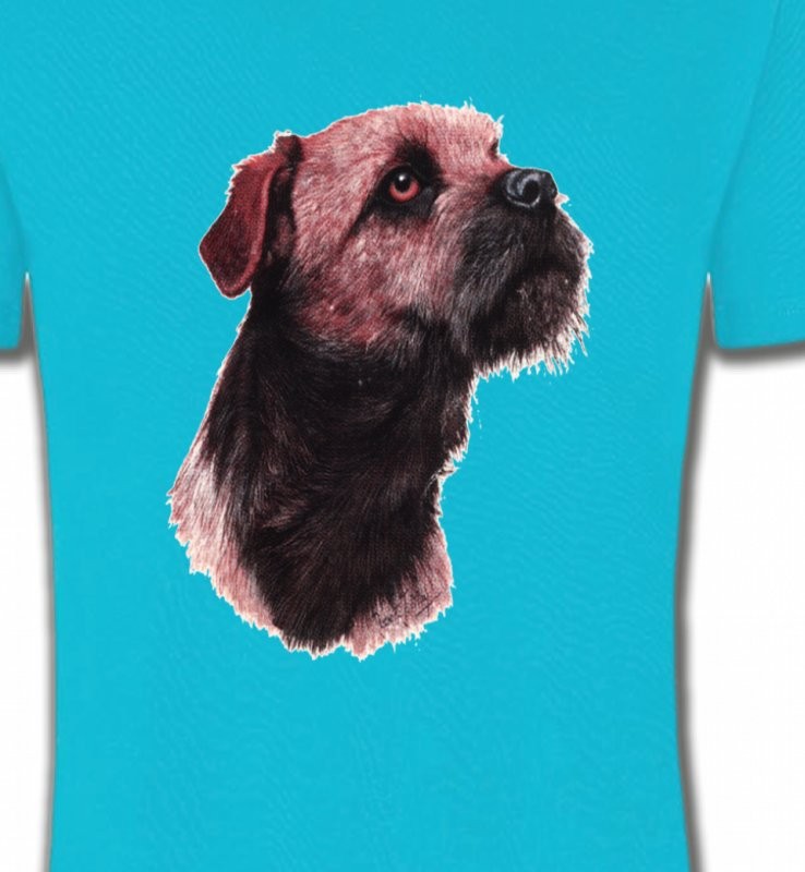 Border Collie Terrier brun (L)