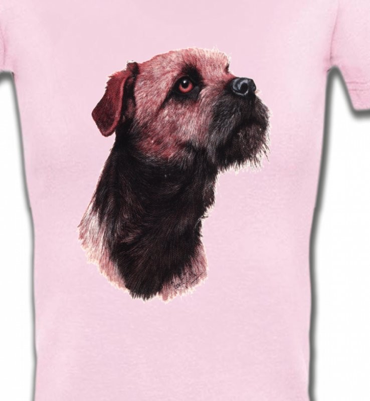 Border Collie Terrier brun (L)