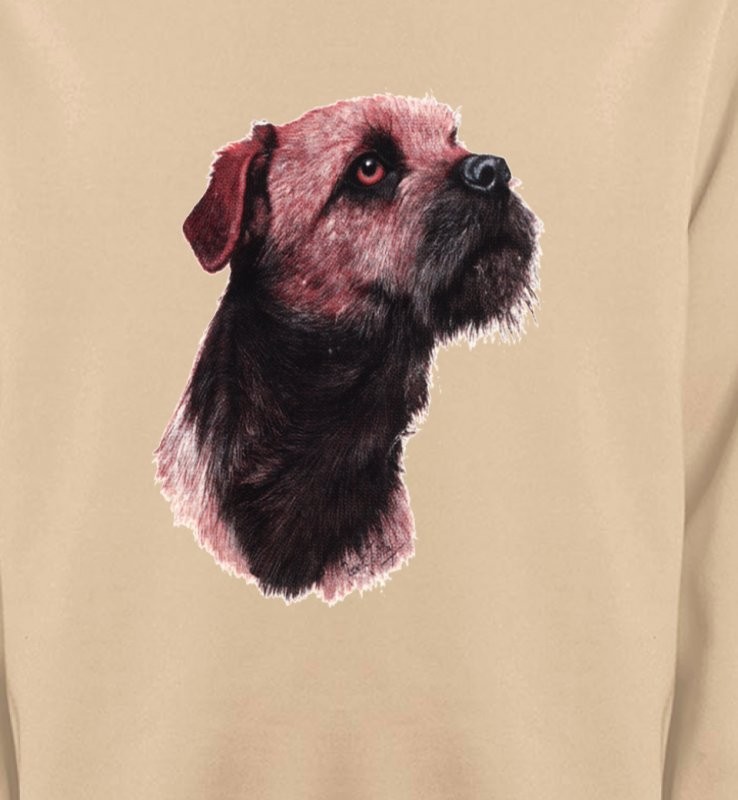 Border Collie Terrier brun (L)