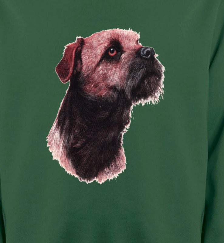 Border Collie Terrier brun (L)