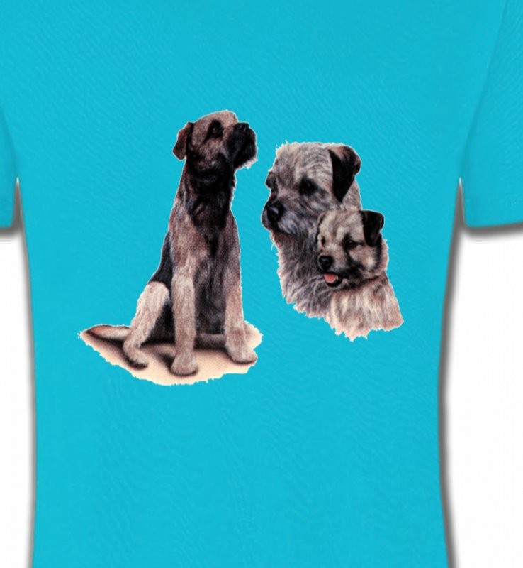 Border Collie Terrier gris (M)