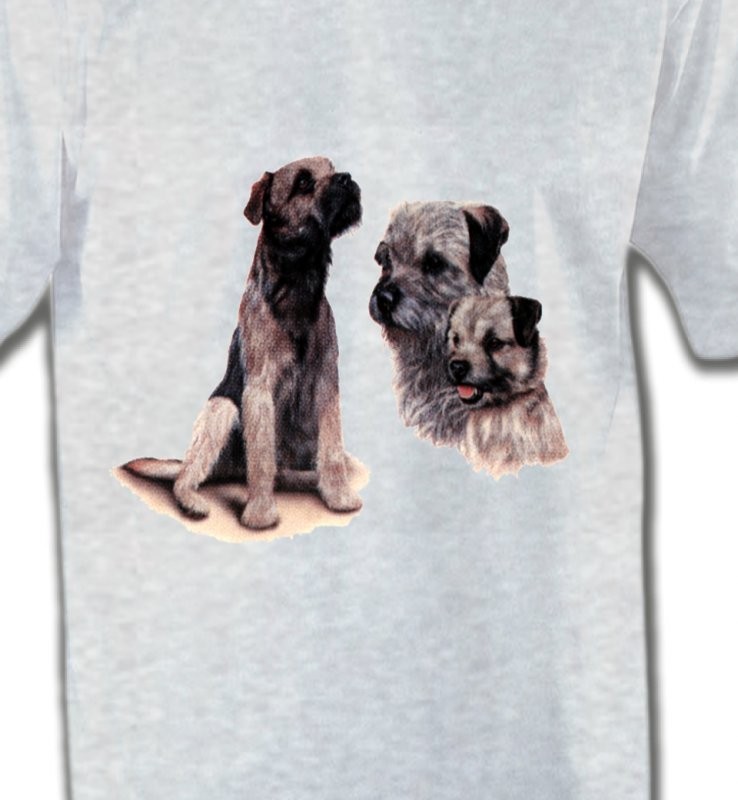 Border Collie Terrier gris (M)
