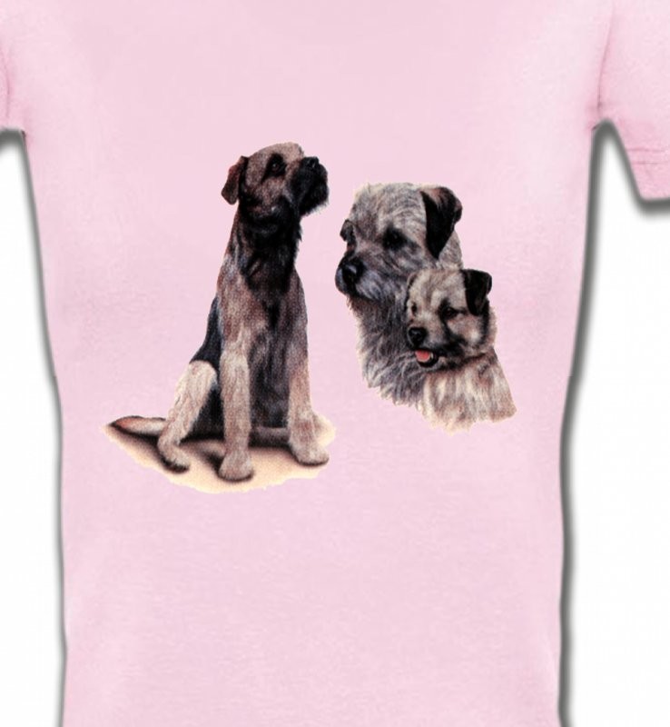 Border Collie Terrier gris (M)