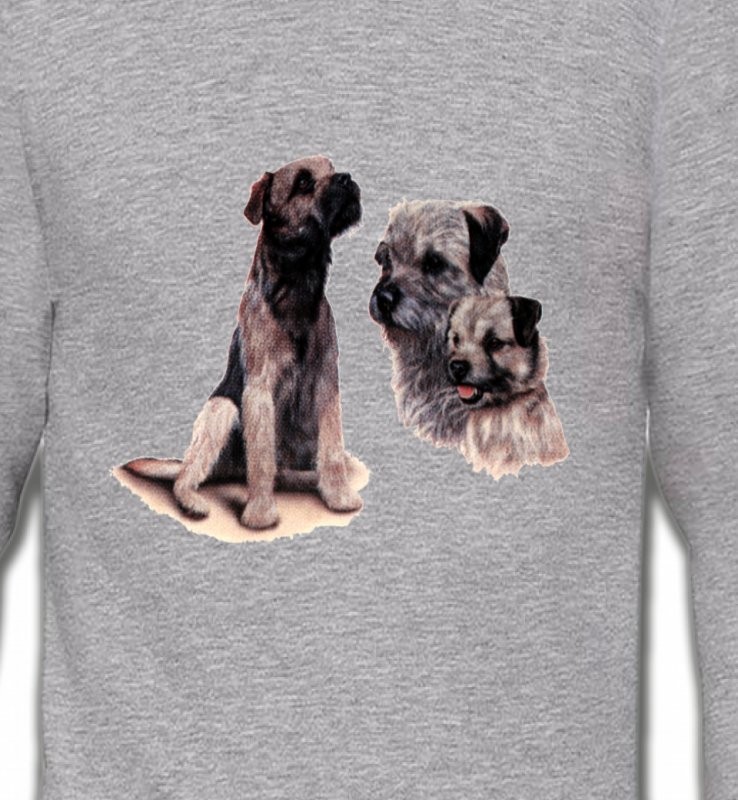 Border Collie Terrier gris (M)