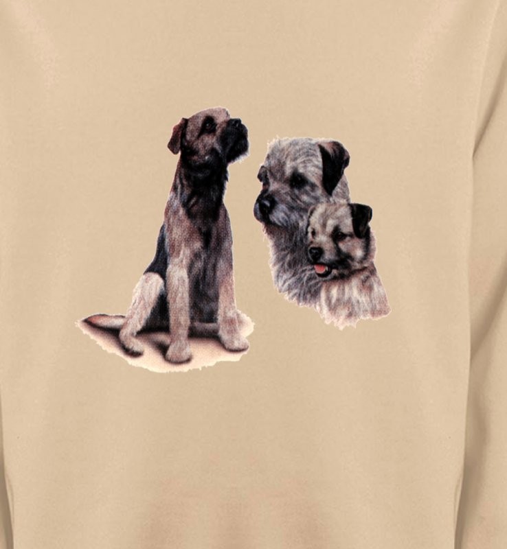 Border Collie Terrier gris (M)