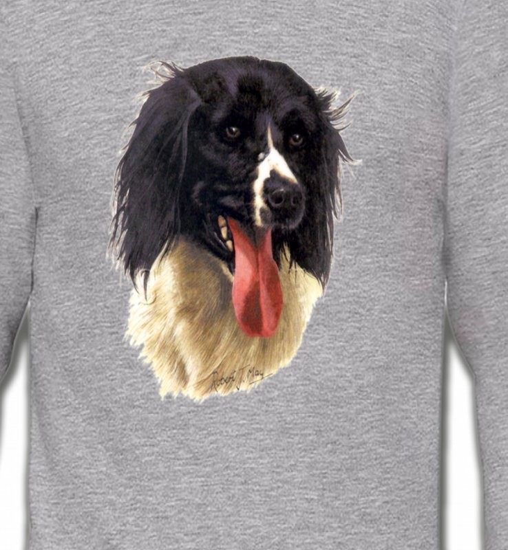 Border Collie noir et blanc (G)