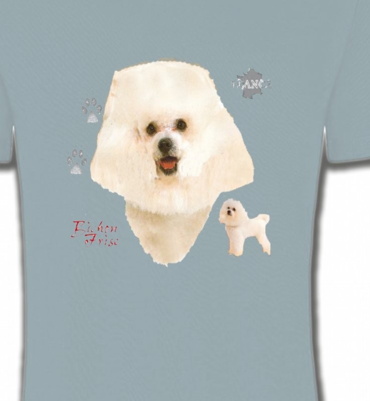 Bichon Frisé blanc (C)
