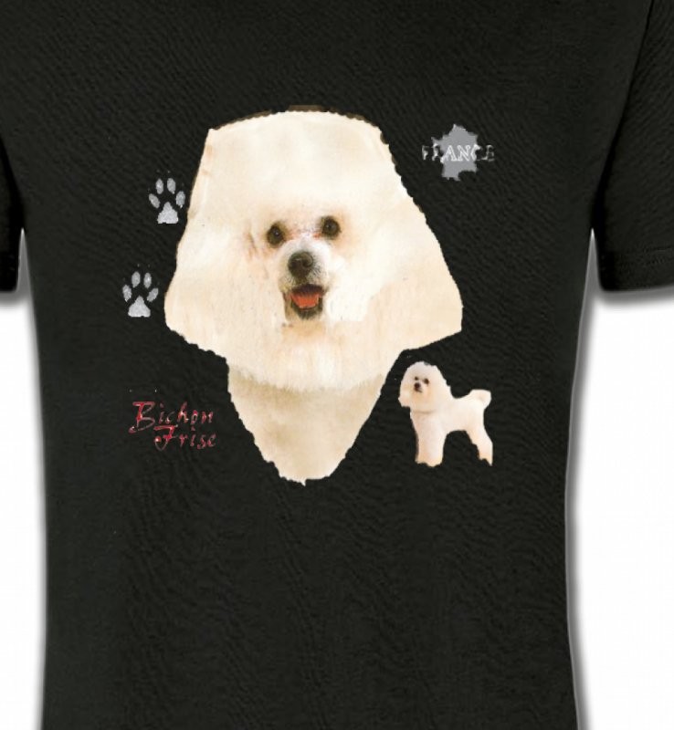 Bichon Frisé blanc (C)