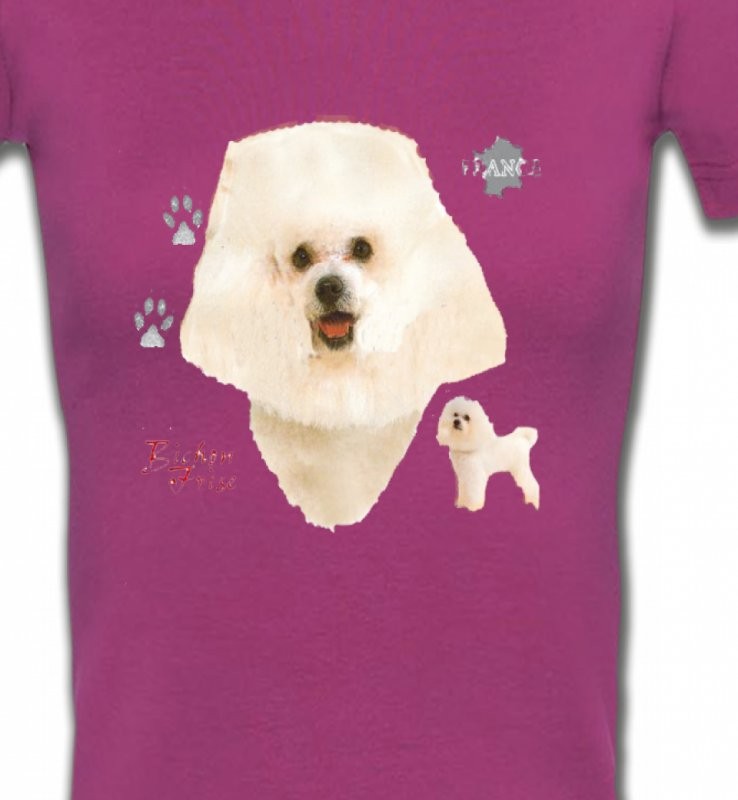 Bichon Frisé blanc (C)