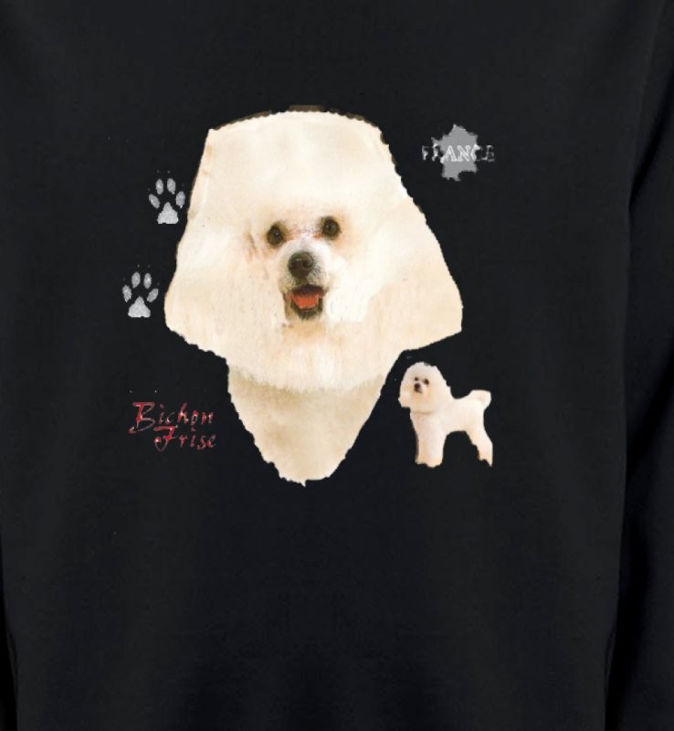 Bichon Frisé blanc (C)