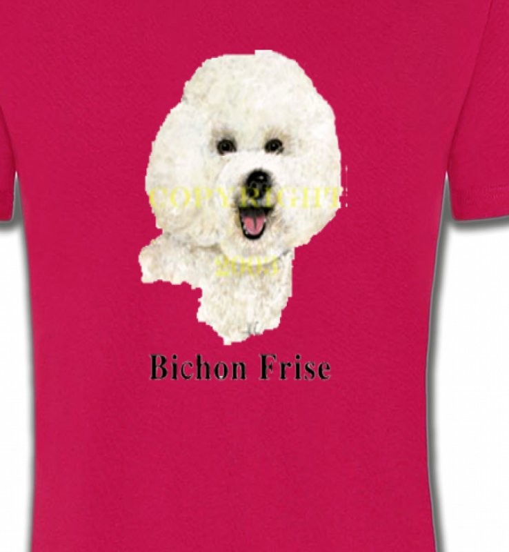 Bichon Frisé (K)
