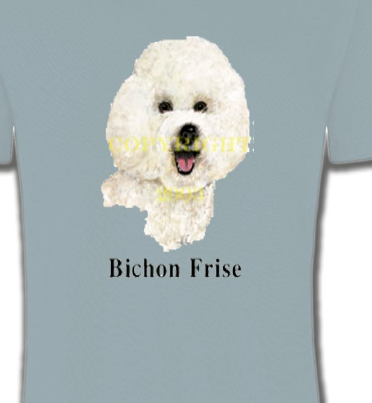 Bichon Frisé (K)