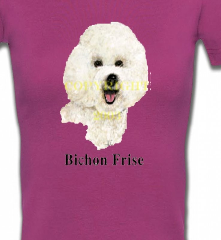 Bichon Frisé (K)