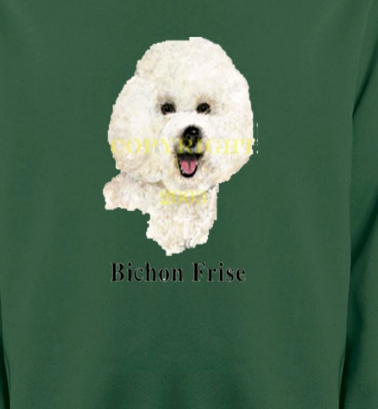 Bichon Frisé (K)