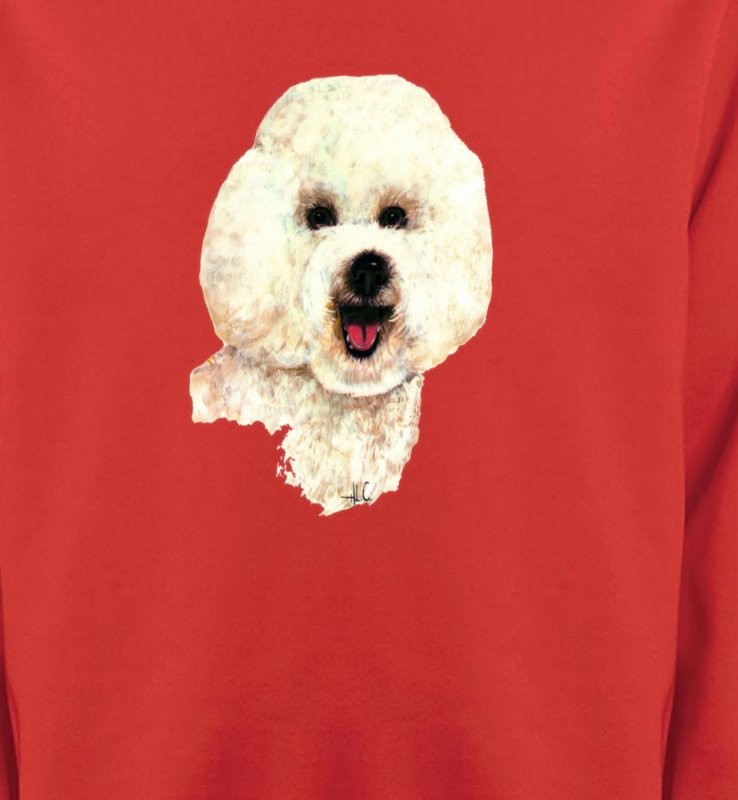 Bichon frisé (B)