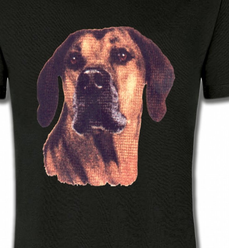 Rhodesian Ridgeback (A)