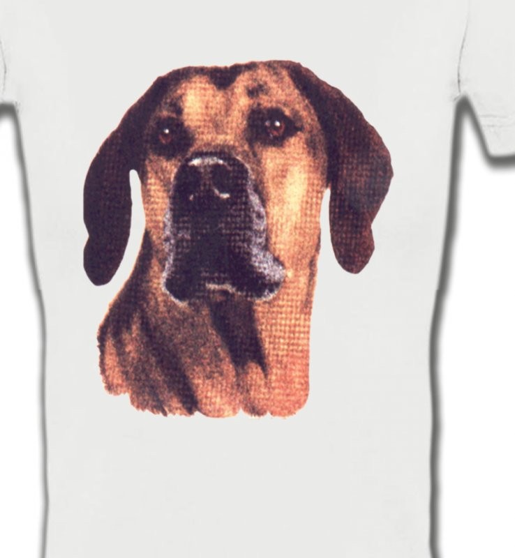Rhodesian Ridgeback (A)