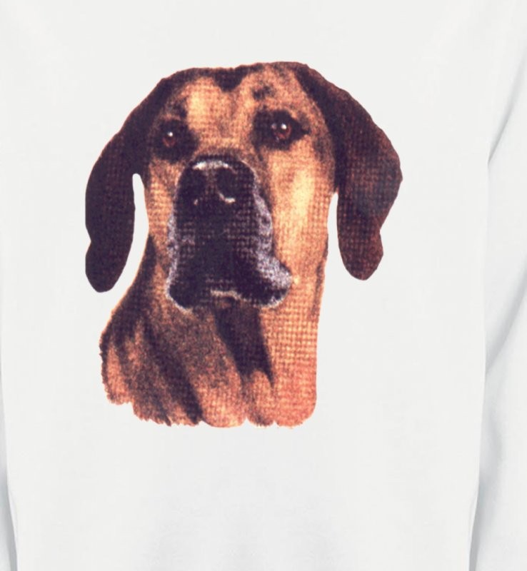 Rhodesian Ridgeback (A)