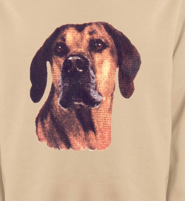 Rhodesian Ridgeback (A)