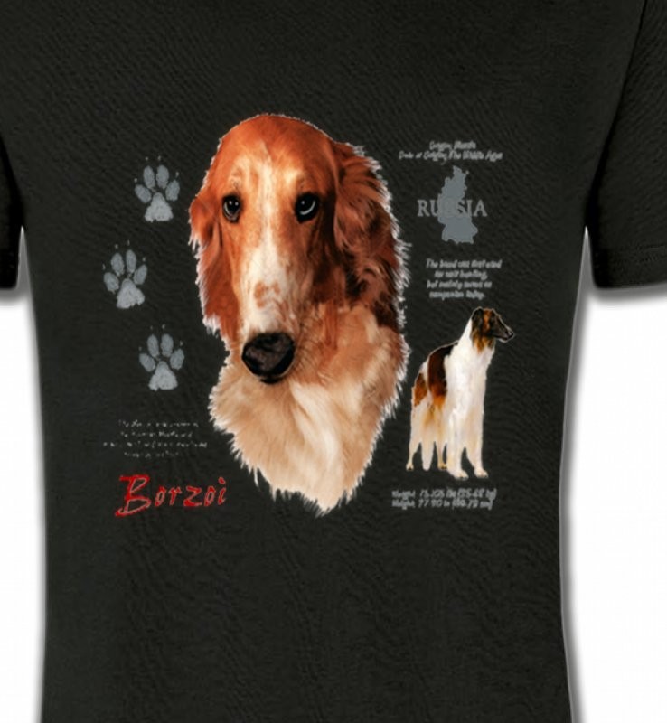 Borzoi (C)