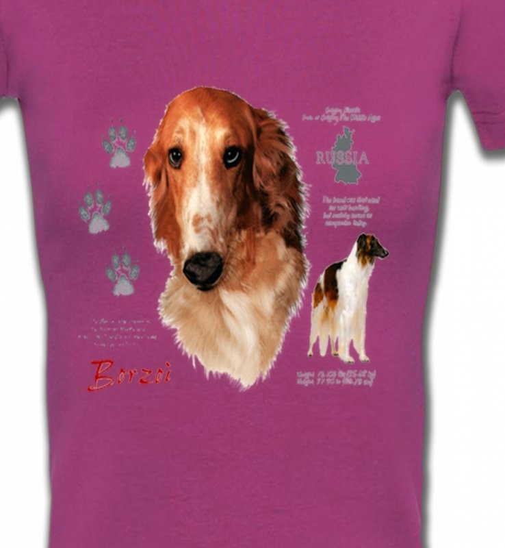 Borzoi (C)