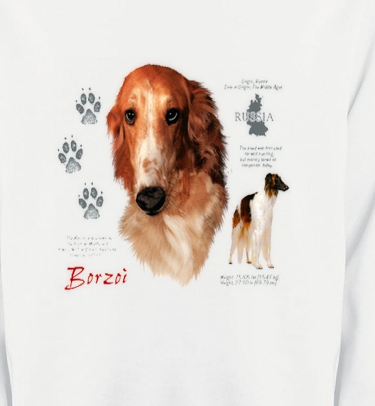 Borzoi (C)