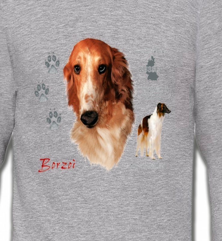 Borzoi (C)