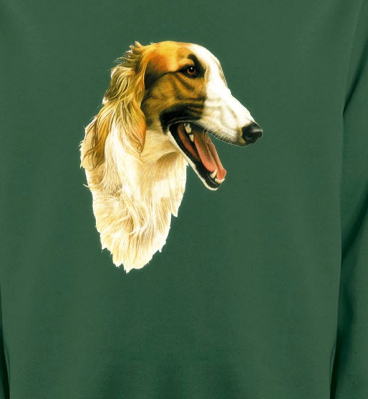 Borzoi (A)