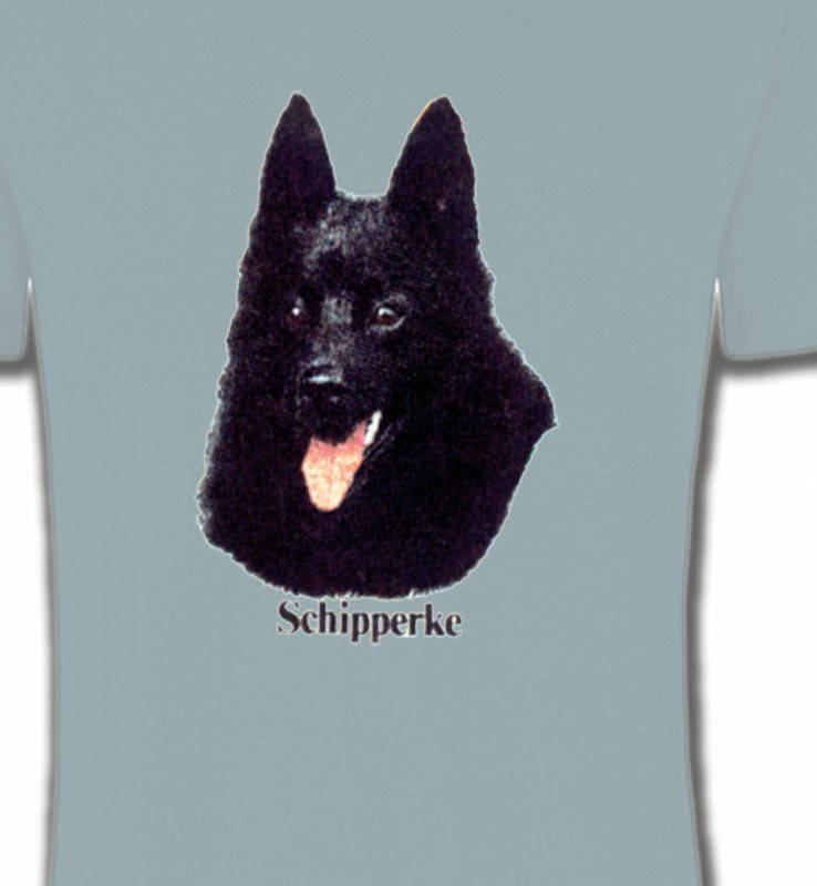 Schipperke (C)