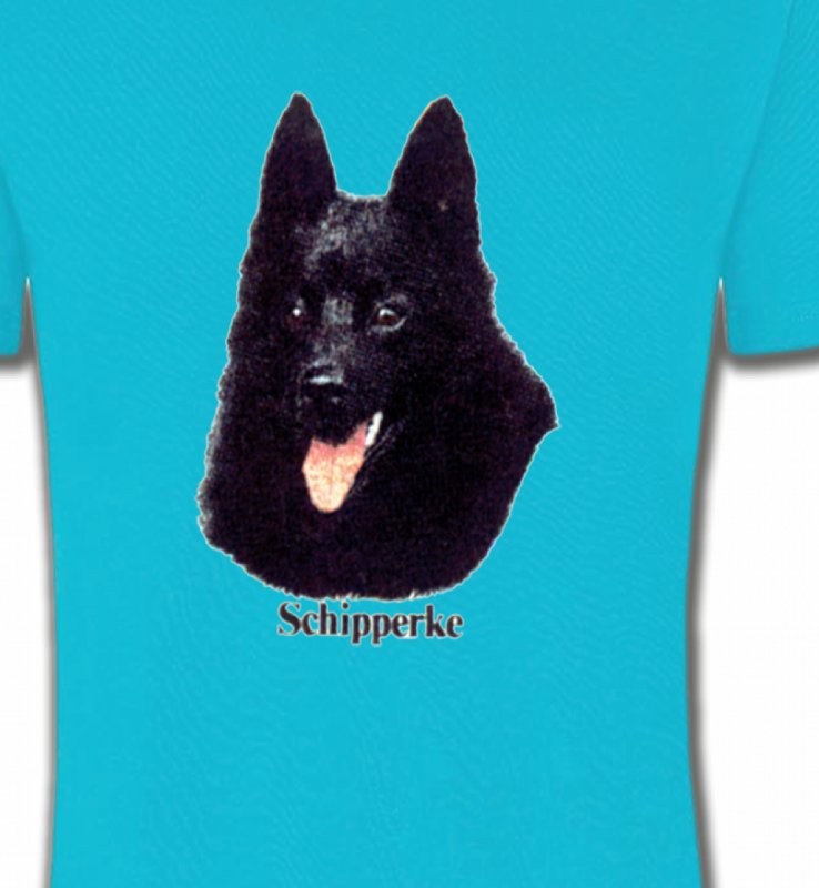 Schipperke (C)