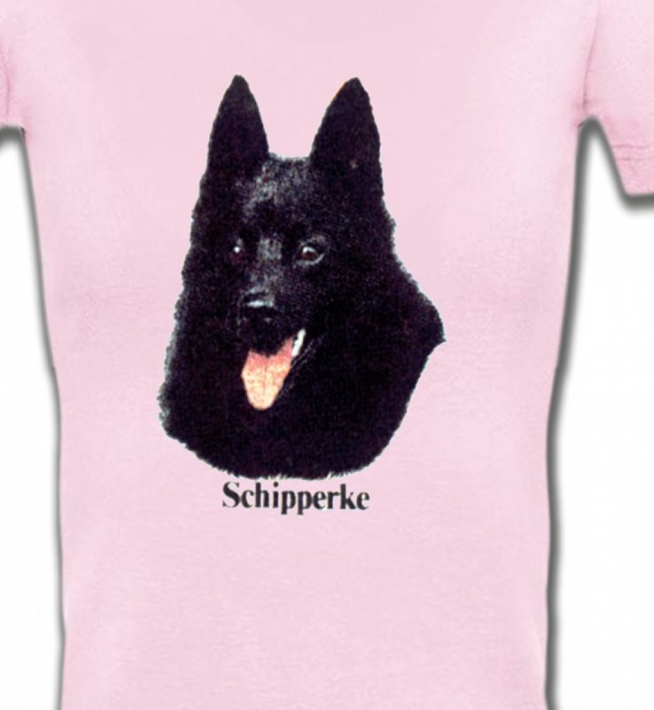 Schipperke (C)