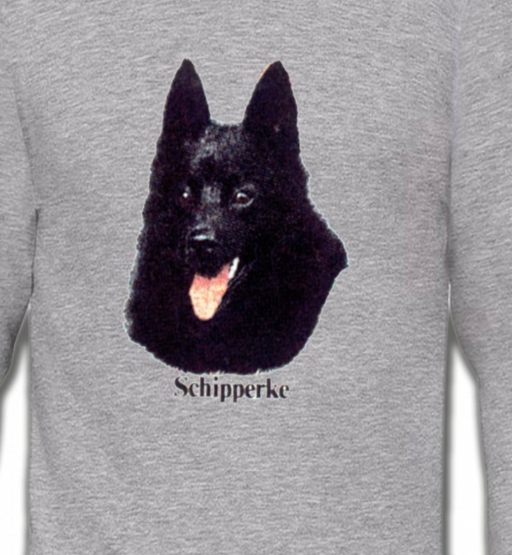 Schipperke (C)