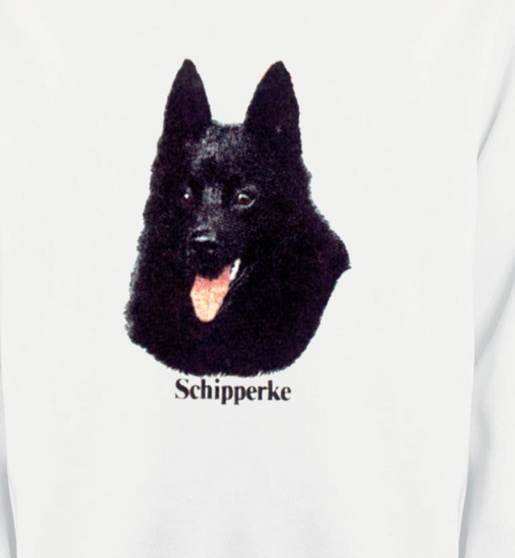 Schipperke (C)